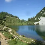 Hierzegger *