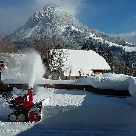 Appartamento Hierzegger *