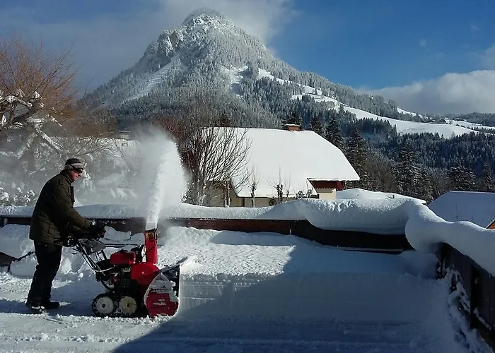 Apartment Hierzegger *